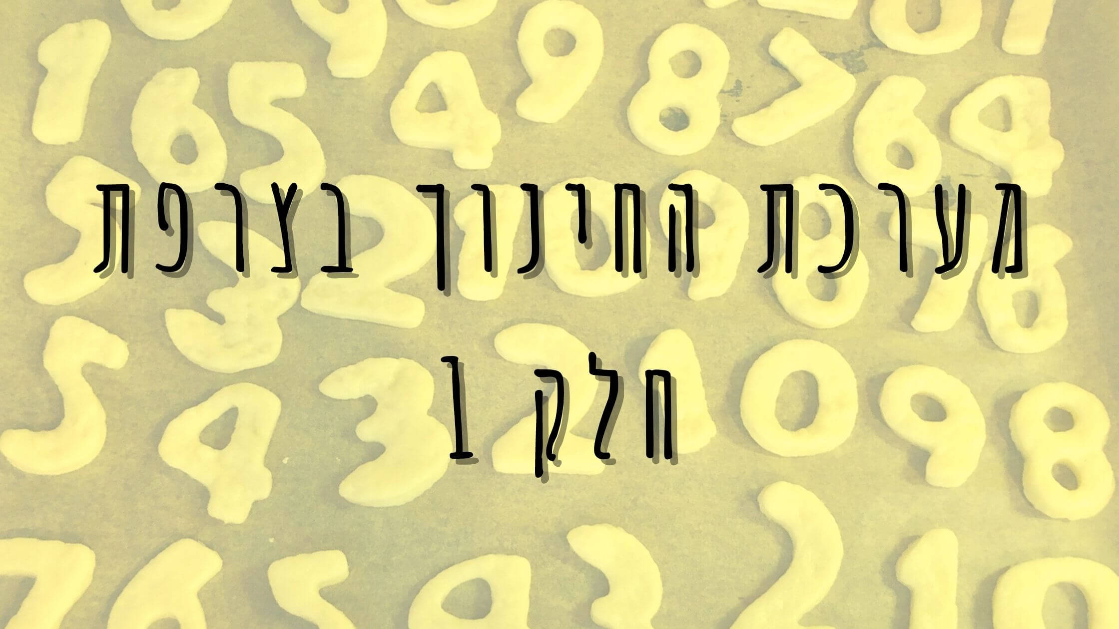 מערכת החינוך בצרפת 1