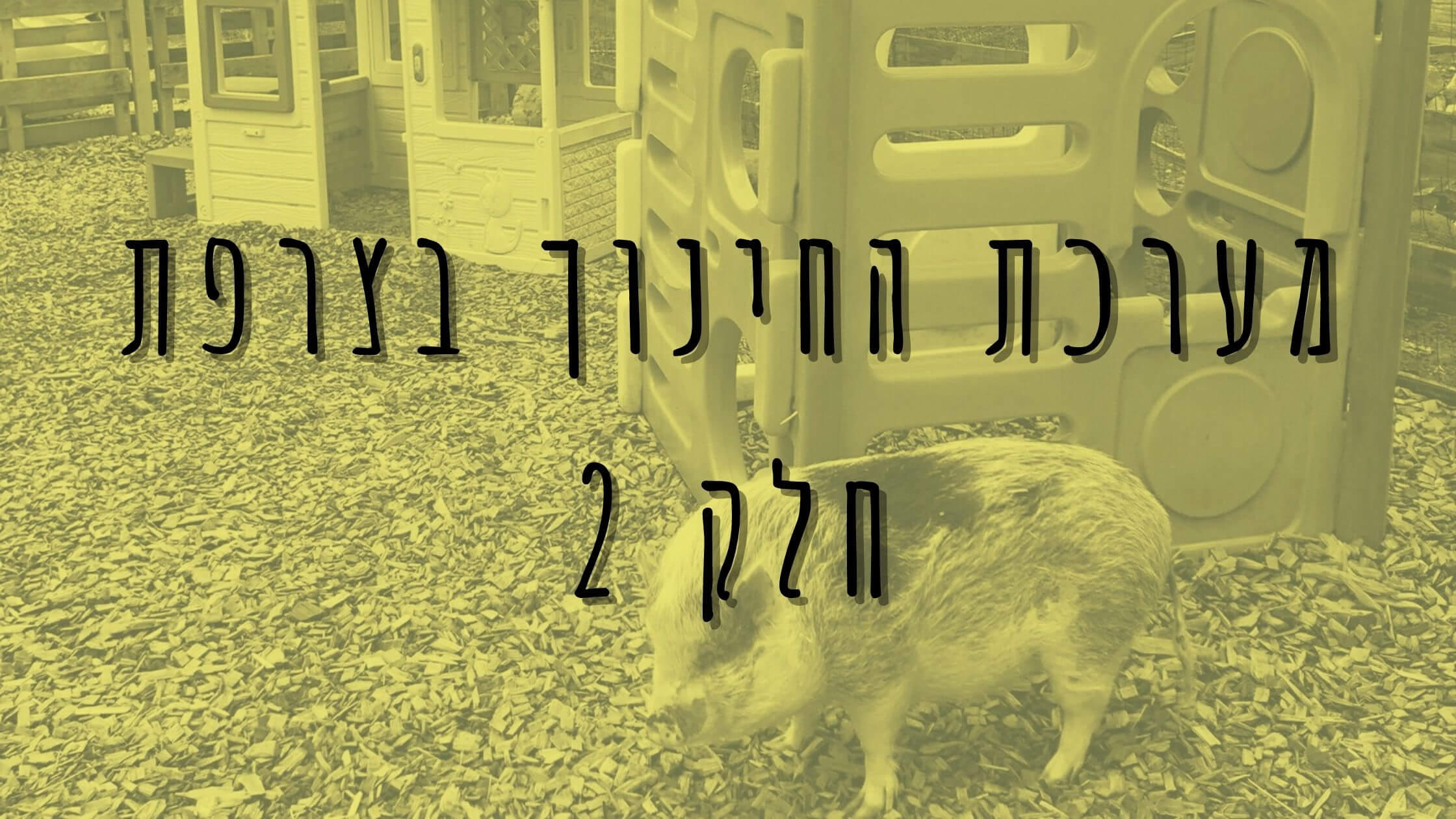 מערכת החינוך בצרפת