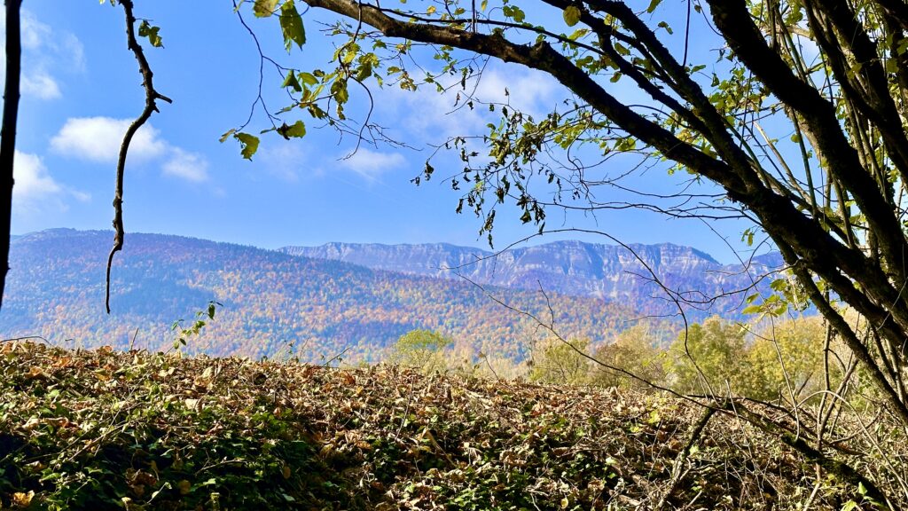 מערכת הבריאות בצרפת