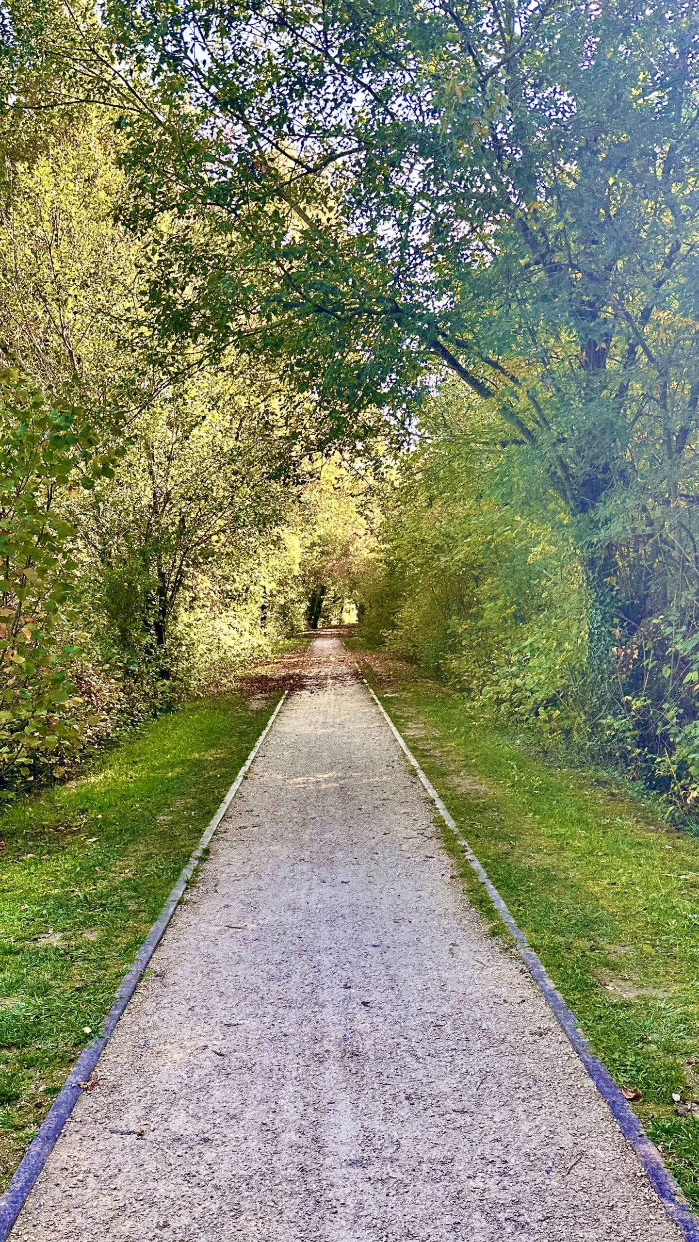 מערכת הבריאות בצרפת